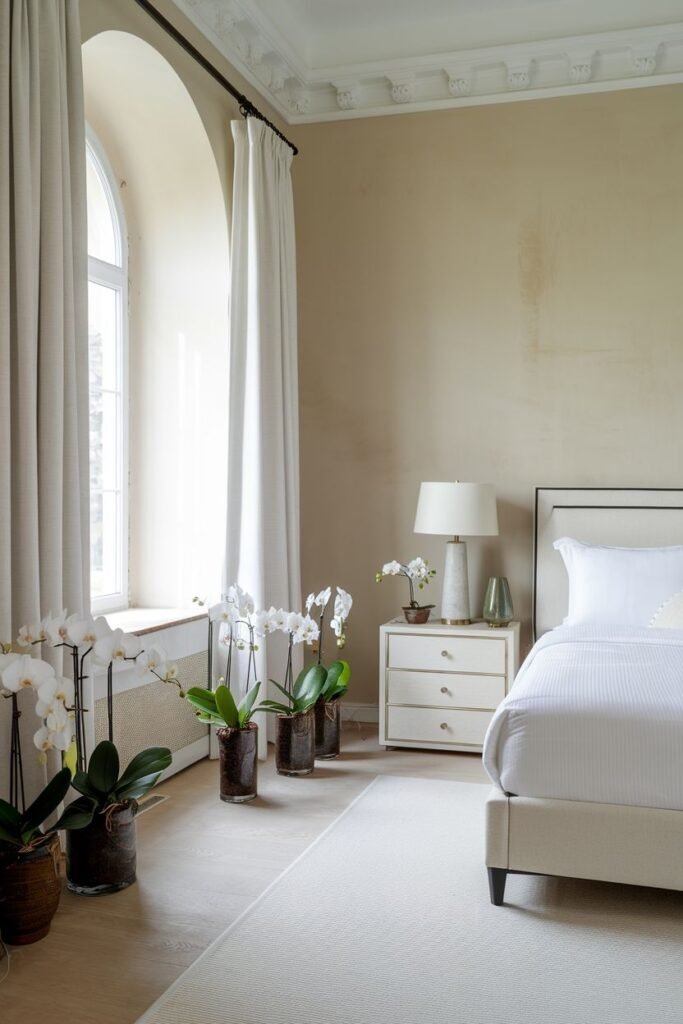 Several potted orchid plants are arranged along a spacious window sill next to a large arched window.