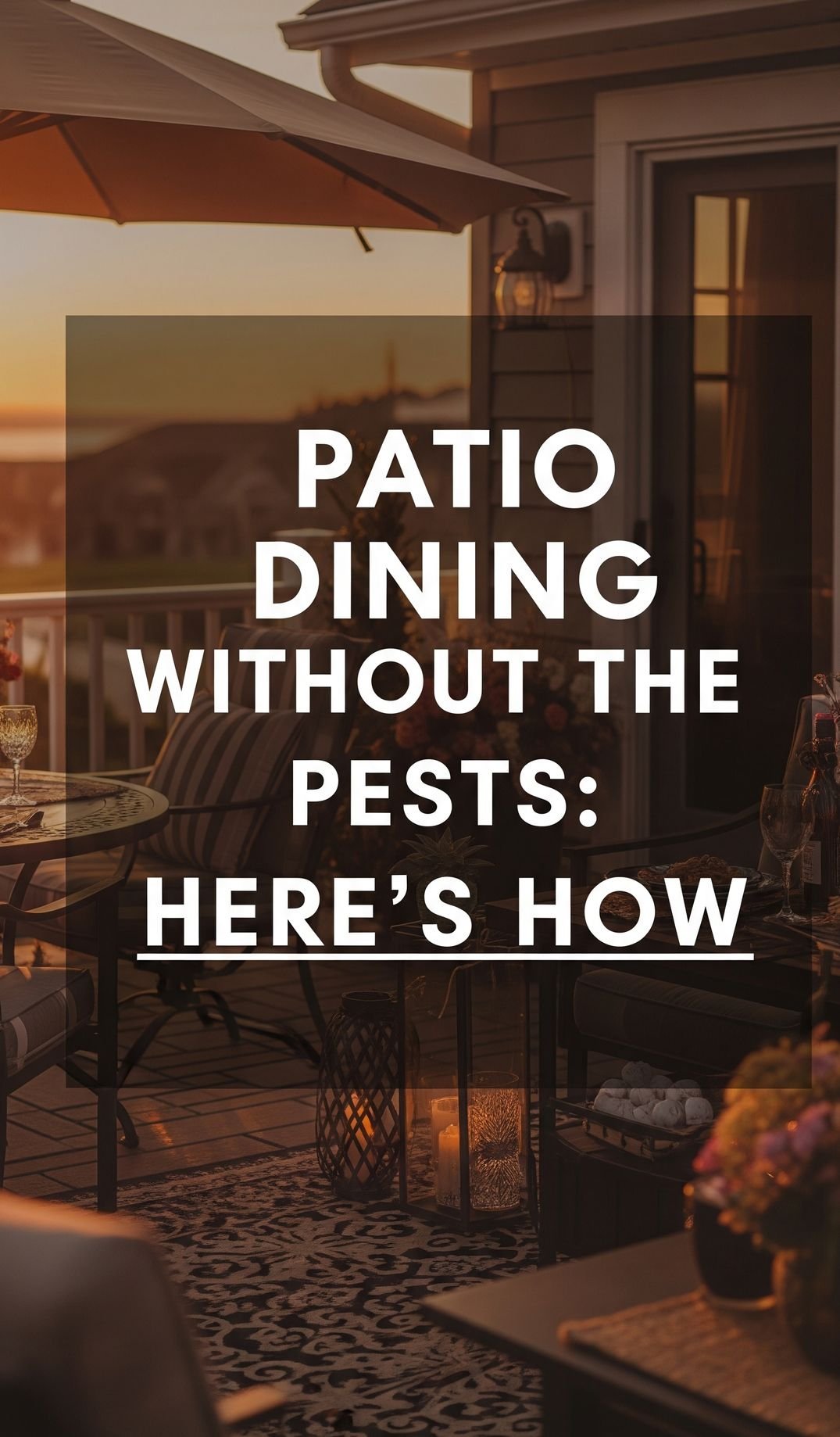 Patio Dining Without the Pests: Here’s How